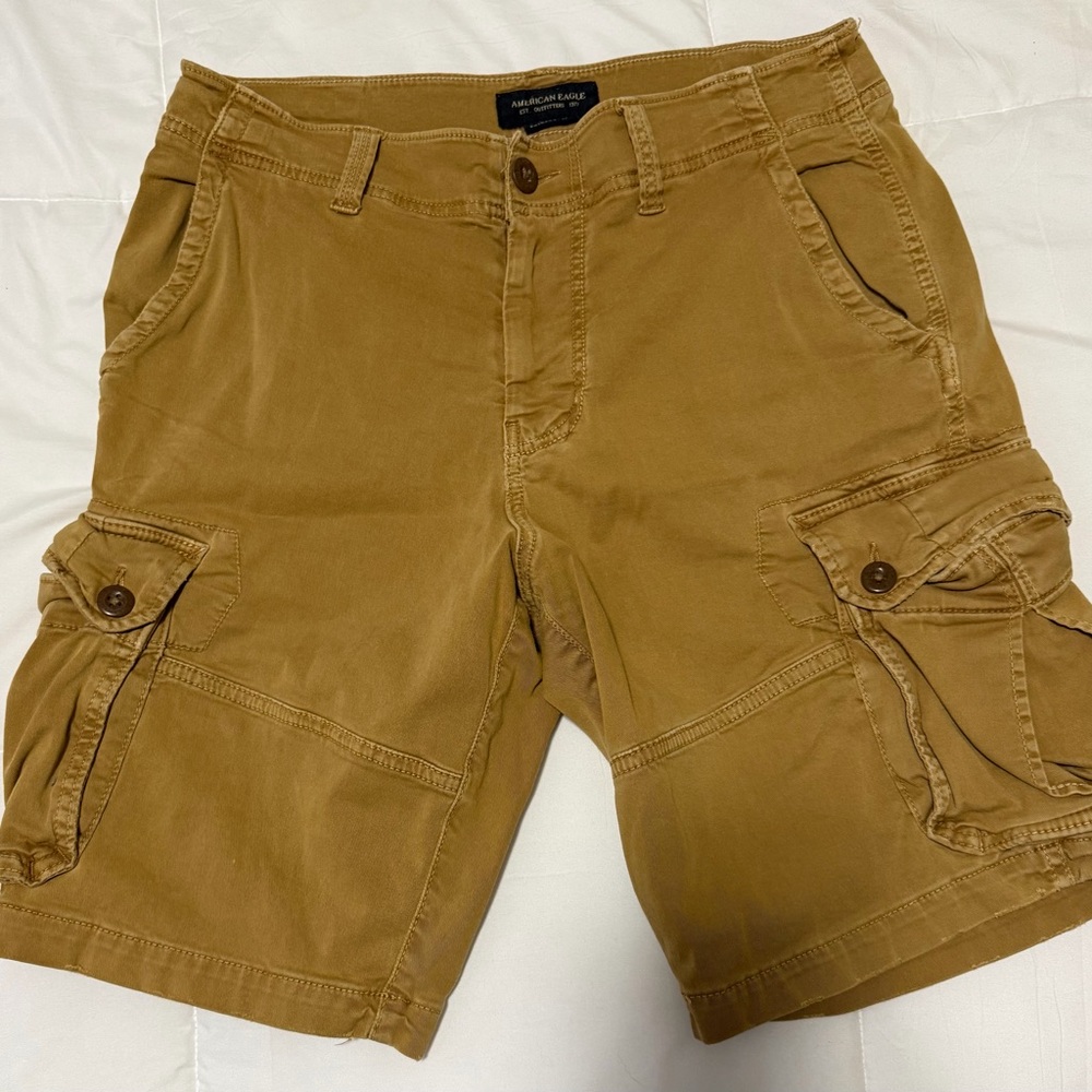 American Eagle Outfitters Brown Cargo Shorts